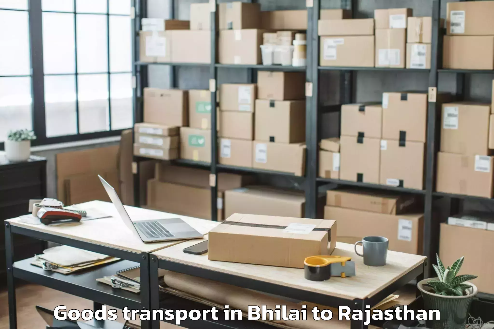 Efficient Bhilai to Udpura Goods Transport